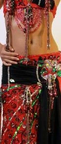 Bellydance Diamond Costume