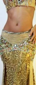 Bellydance Nile Waves Costumes