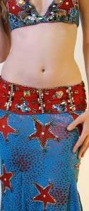 Bellydance Nabila Costume Costumes