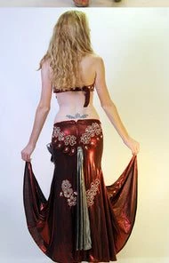 Bellydance Diamond Costume
