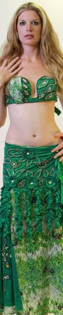Bellydance Diamond Costume 3 Bellydance Diamond Costume