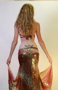 Bellydance Crystal Collection Clearance Costumes