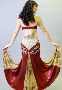 Bellydance Diamond Costume Costumes