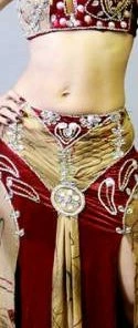 Bellydance Diamond Costume Costumes