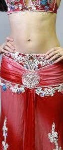 Bellydance Costumes Diamond Costume