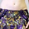 Bellydance Costumes Hanan Costume Clearance