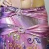Bellydance Two-Piece Costume Costumes