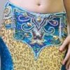 Bellydance Costumes Diamond Costume 2 Bellydance Costumes Diamond Costume