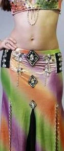 Bellydance Two-Piece Costume Costumes