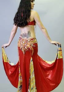 Bellydance Diamond Costume Costumes