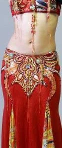 Bellydance Diamond Costume Costumes