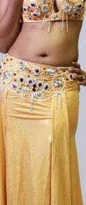 Bellydance Crystal Collection Clearance Costumes