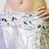 Bellydance Two-Piece Costume