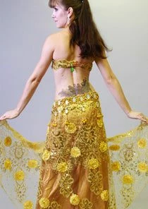 Bellydance Costumes Egyptian Lace 21262