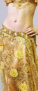Bellydance Costumes Egyptian Lace 21262