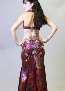 Bellydance Two-Piece Costume Costumes