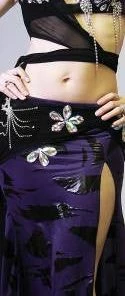 Bellydance Costumes Diamond Collection