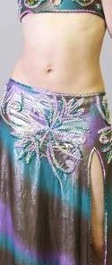 Bellydance Diamond Costume Costumes