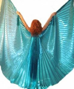 Bellydance Metallic Wings~