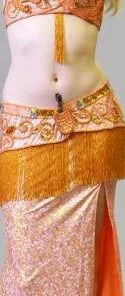 Bellydance Costumes Nabila Costume Clearance