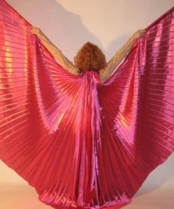 Bellydance Metallic Wings