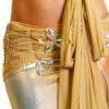 Bellydance Costumes Diamond Collection