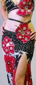Bellydance Costumes Carnival Collection