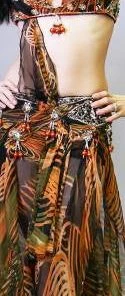 Bellydance Floral Dream Costumes