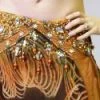 Bellydance Floral Dream Costumes