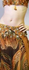 Bellydance Floral Dream Costumes