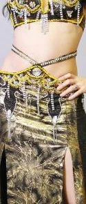 Bellydance Costumes Diamond Costume