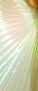 Bellydance Iridescent Wings~