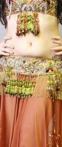 Bellydance Lili Bra And Belt Set Bra&Belts