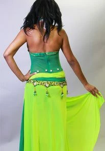 Bellydance Costumes Arabian Nights Dress Clearance