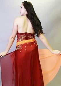 Bellydance Costumes Arabian Nights Dress Clearance