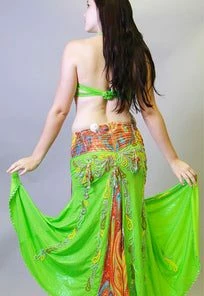 Bellydance Diamond Costume Clearance