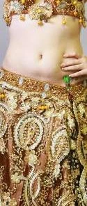 Bellydance Costumes Egyptian Lace 21554