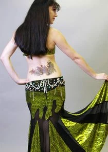 Bellydance Two-Piece Costume Costumes