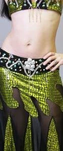 Bellydance Two-Piece Costume Costumes