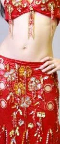 Bellydance Costumes Egyptian Bloom Costume