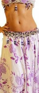 Bellydance Floral Dream Costume Sale