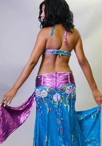 Bellydance Egyptian Bloom Costume Costumes