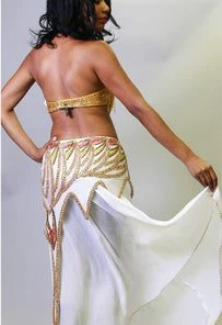 Bellydance All Skirts Skirt