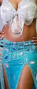 Bellydance Skirt