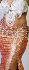 Bellydance Skirt