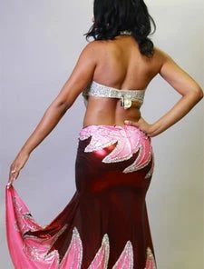 Bellydance Skirt