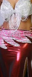 Bellydance Skirt