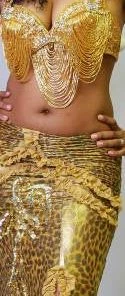 Bellydance Beaded Lycra Skirt All Skirts