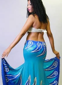 Bellydance Skirt