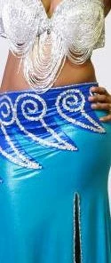 Bellydance Skirt